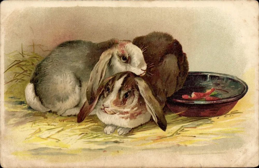 Três coelhos na grama — ilustração colorida — editor não identificado, n° VIII - Frente