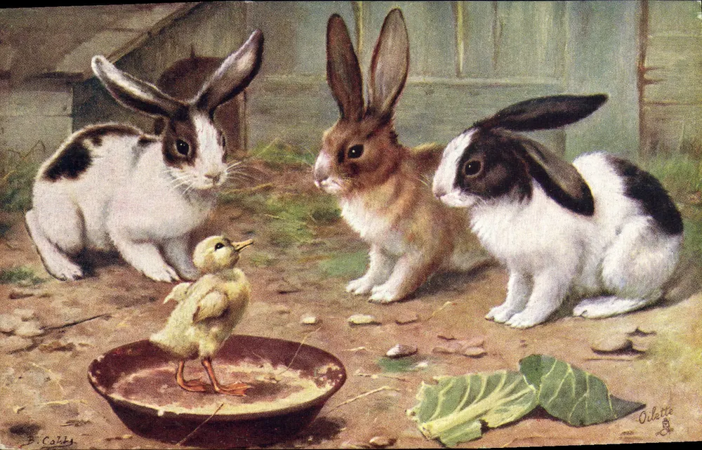 Os coelhos — cena com um pato — Tuck's Post Card N° 9539 - Frente