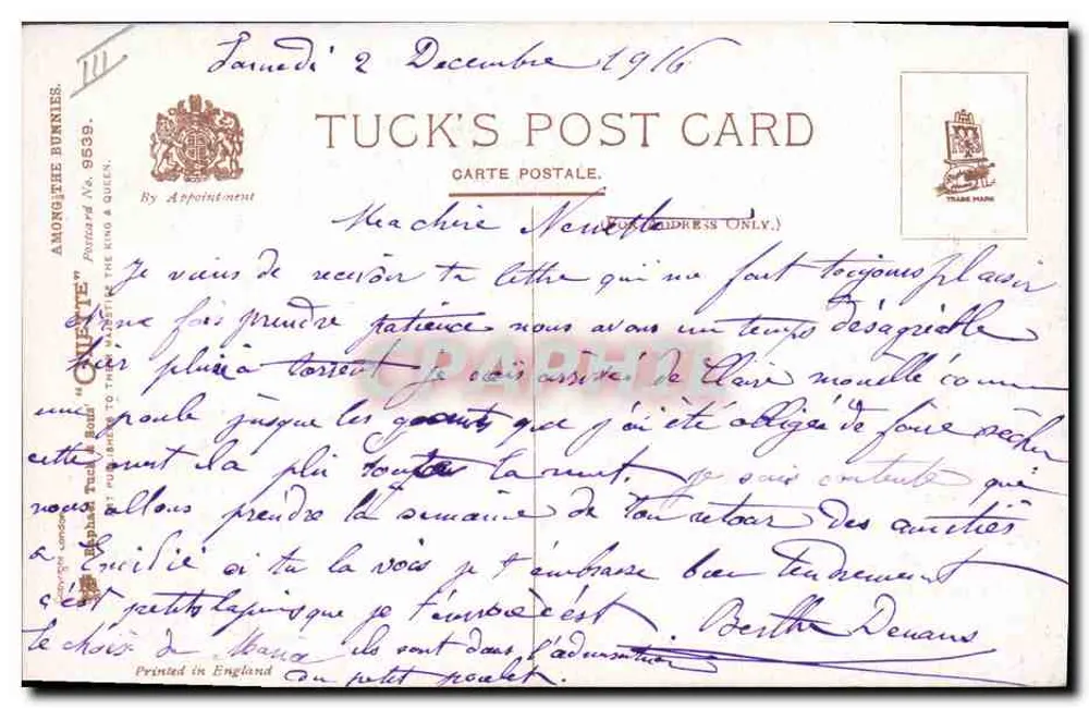 Os coelhos — cena com um pato — Tuck's Post Card N° 9539 - Verso