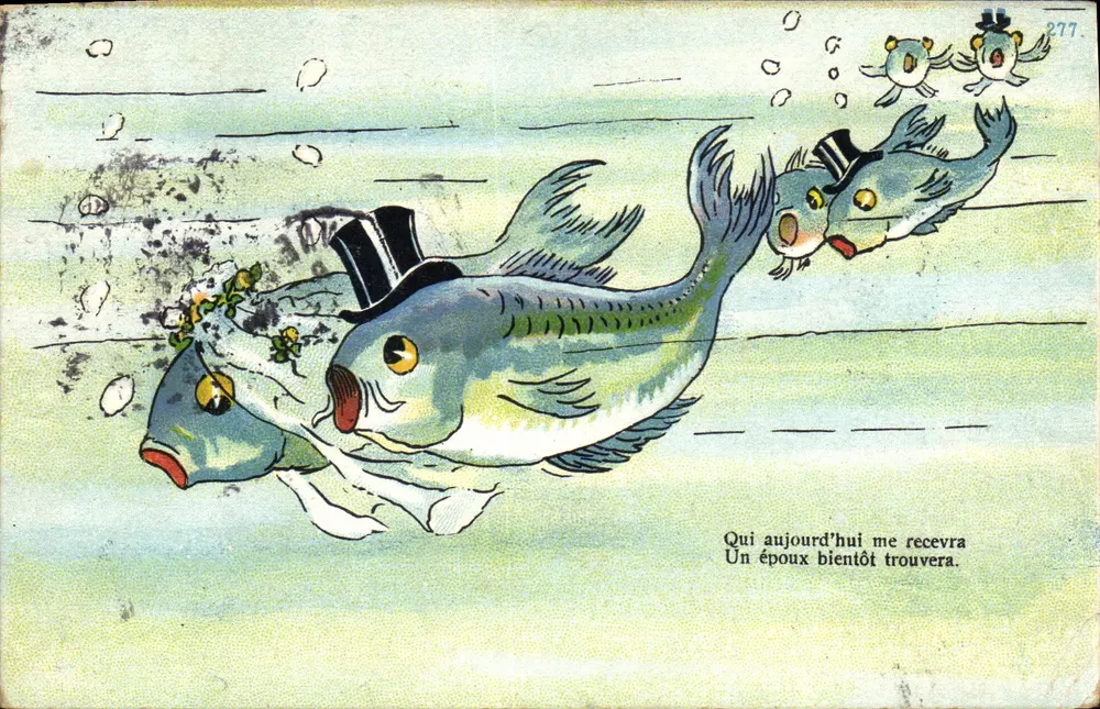 Fische im Hochzeitskleid — humorvolle Illustration — Serie 277 - Vorderseite