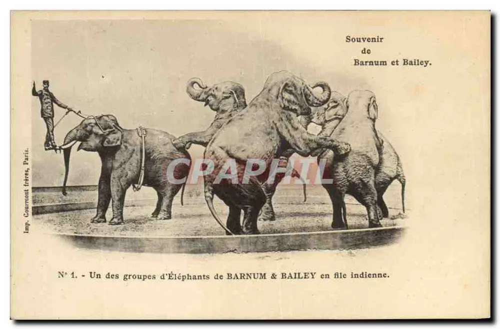 Gruppe von Barnum & Bailey Elefanten in einer Reihe — Erinnerung an Barnum und Bailey — Imp. Courmont frères, Paris, Nr. 1 - Vorderseite