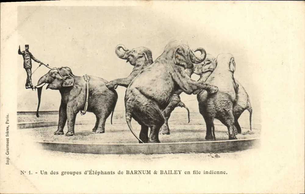Barnum & Bailey-Elefanten in einer Reihe — Imp. Courmont frères, Paris, N° 1 - Vorderseite