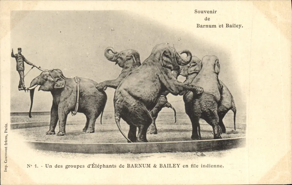 Elefanten-Gruppen von Barnum & Bailey in einer Schlange — Erinnerung an Barnum und Bailey — Imp. Courmont frères, Paris, Nr. 1 - Vorderseite