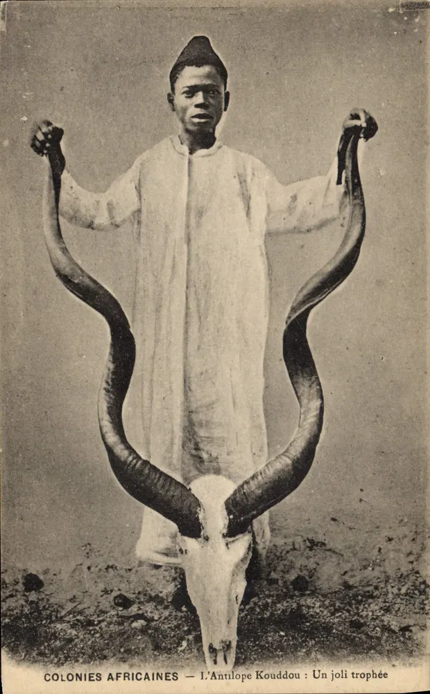 Das Kouddou-Antilop: Ein schönes Trophäe — Afrikanische Kolonien — Phototypie T. Bienaimé, Reims - Vorderseite