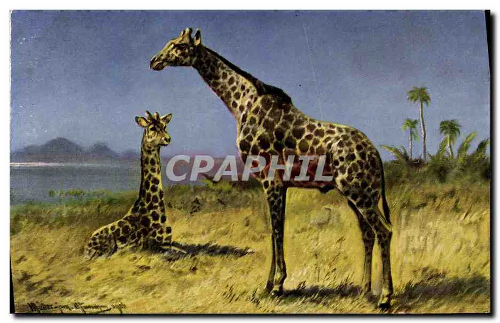 गिराफ - सवाना के दृश्य में पर्वत और नारियल के पेड़ - श्रृंखला 410 - आगे