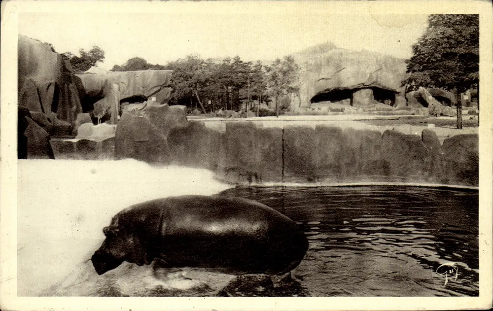 Hippopotamus beim Aussteigen aus dem Bad — Zoologischer Garten Vincennes — A. Leconte, 38 Rue Sainte-Croix, Paris - Vorderseite
