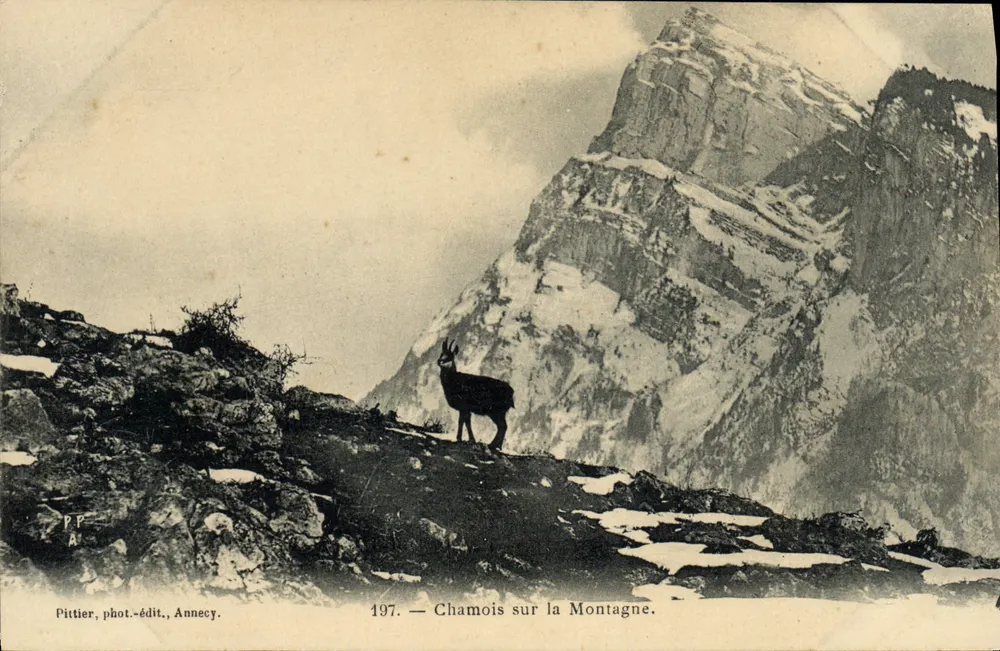 चमोइस माउंटेन पर — पिटियर, फोटो-प्रकाशक, एनेसी, संख्या 197 - आगे