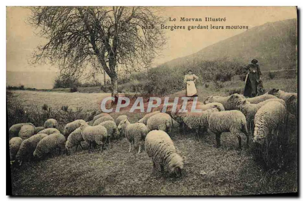 Pastoreiras cuidando de seus carneiros — Le Morvan Illustré - Frente