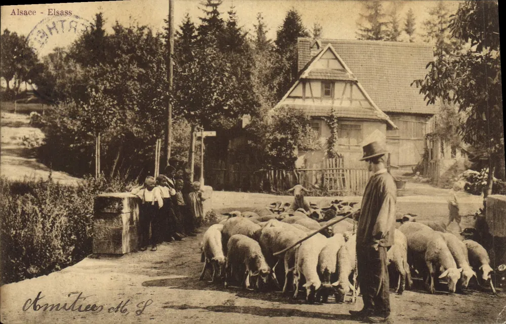 Alsatien — Moutons et berger — uitgever Amitiées H. S. - Voorkant