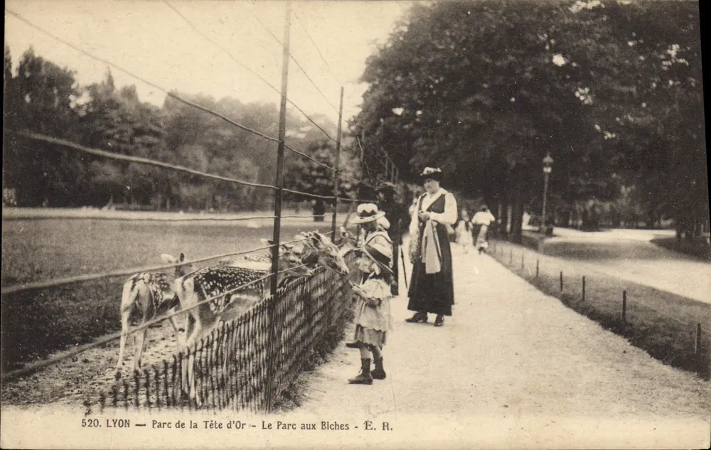 LYON — Parc de la Tête d'Or — Le Parc aux Biches — É. R. - Vorderseite