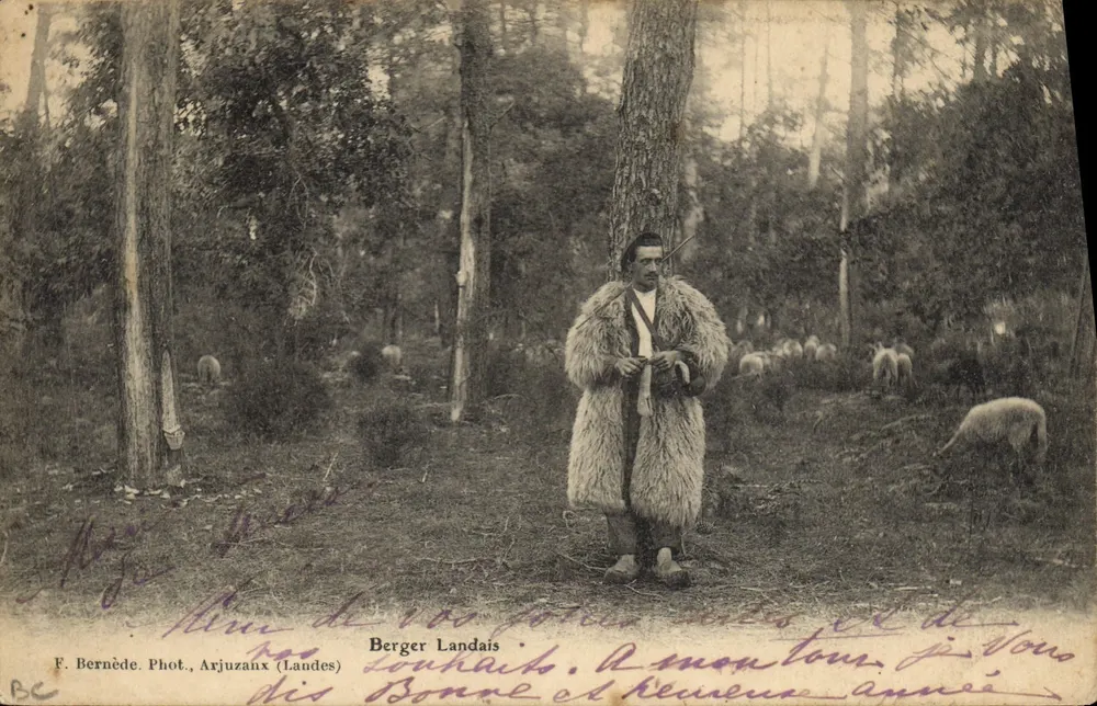 Pastor Landais — na floresta — F. Bernède, Arjuzanx (Landes) - Frente