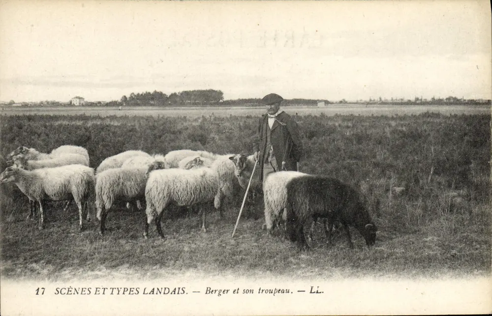Schermer en zijn kudde — SCÈNES ET TYPES LANDAIS — LL. - Voorkant