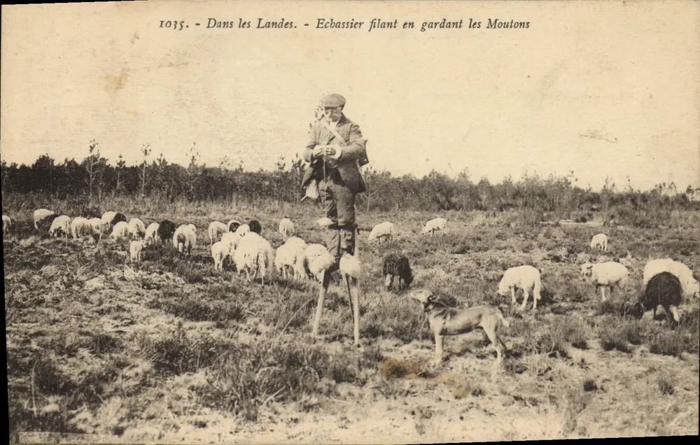 In den Landes. - Ein Schäfer mit Gehstock, der Schafe hütet — Bronzotype Gauthreau, Nr. 1035 - Vorderseite