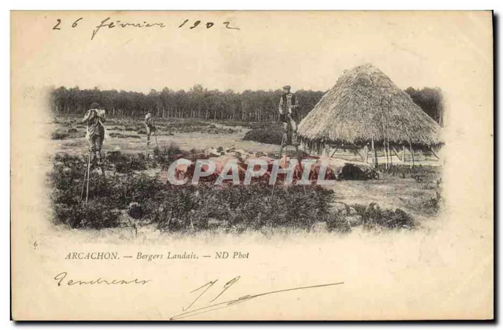 Arcachon — Pastores Laudais — ND Phot - Frente