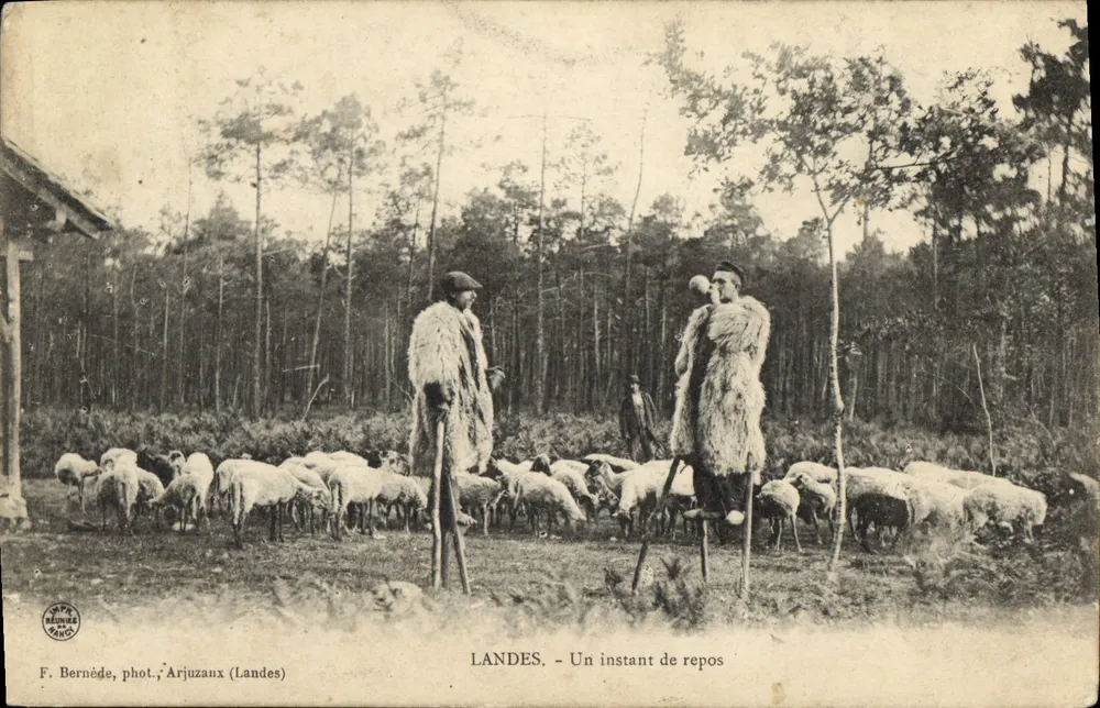 Landes - Ein Moment der Ruhe — F. Bernède, fot. Arjuzaux (Landes) - Vorderseite