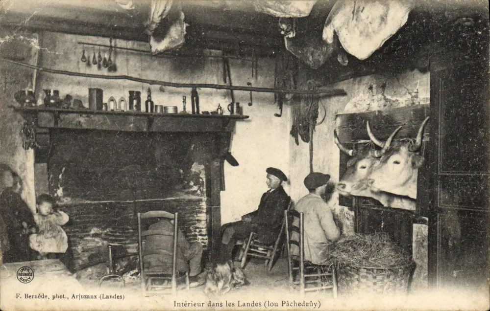 Intérieur dans les Landes (lou Pächedeüy) — scène de vie rustique avec tête de vache et cheminée — F. Bernède, phot., Arjuzanx (Landes) - Frente
