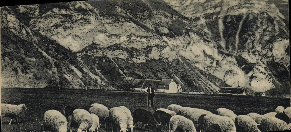 Paisagem pastoril com ovelhas — Vale de Miouros — Editor não identificado - Frente