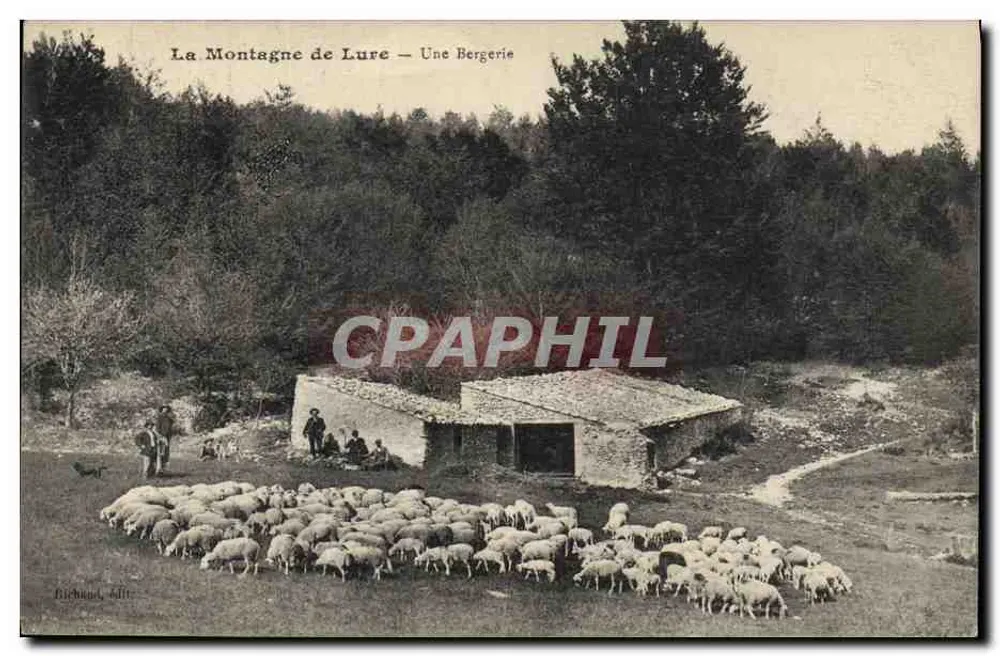 La Montagne de Lure — Eine Schäferhütte — Richard, Verlag - Vorderseite