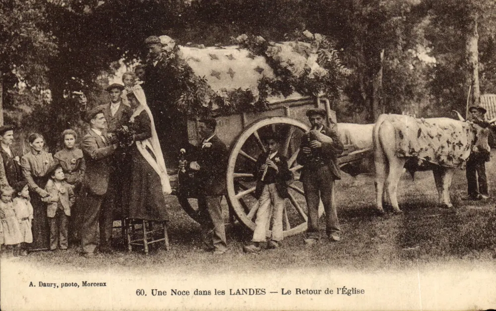 Eine Hochzeit in den LANDES — Der Rückweg von der Kirche — A. Daury, photo, Morcenx - Vorderseite