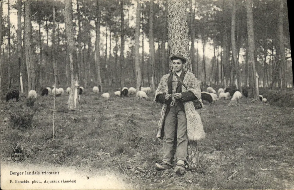 Berger landais strickend — F. Bernède, Arjuzanx (Landes) - Vorderseite