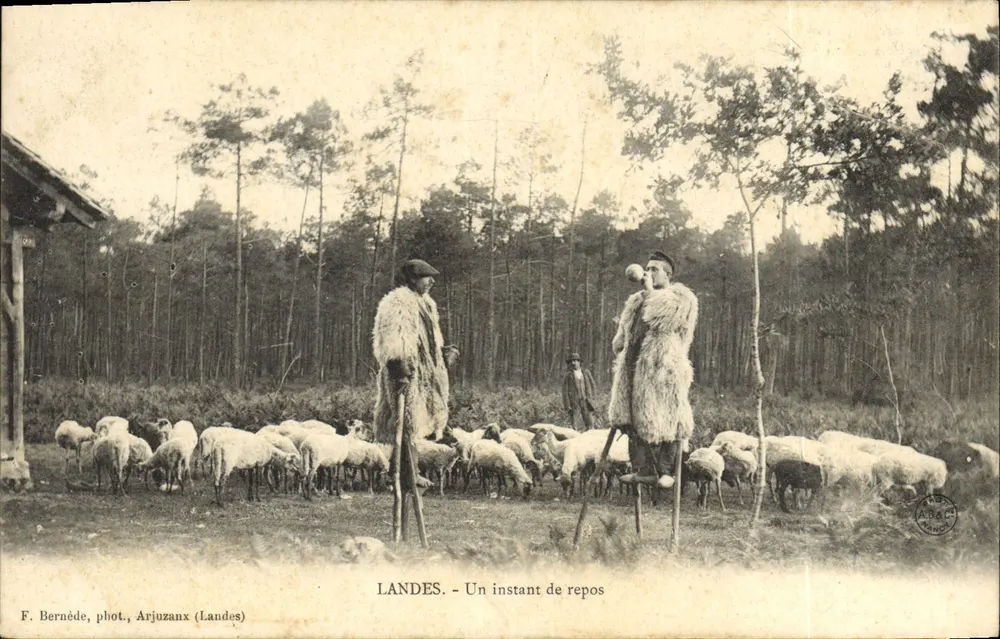 Landes - Ein Moment der Ruhe — F. Bernéde, Fotografie, Arjuzanx (Landes) - Vorderseite