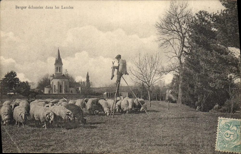Pasterz na nogach w Landes — G. Pomlans i synowie, Wyd. Cirboz — nr 101 - Awers