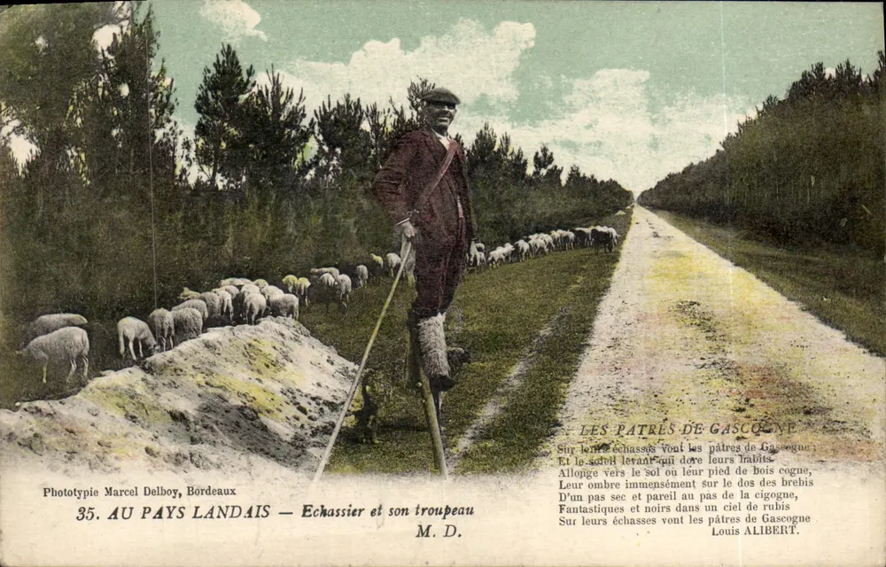 IM LANDAIS-LAND — Storch und sein Herd — Phototypie Marcel Delboy, Bordeaux, Nr. 35 - Vorderseite
