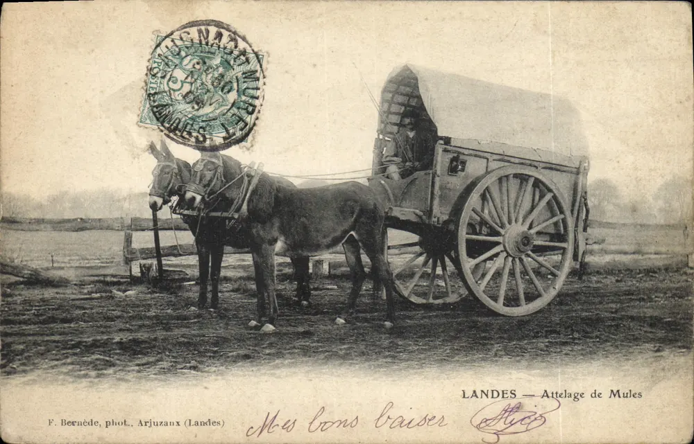 Landes — Mulespannung — F. Bernède, phot. Arjuzaux (Landes) - Vorderseite