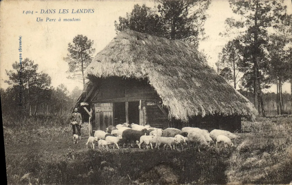 Na Landes — Um Parque de Ovelhas — Bureau de Terre-Longon (Gironde) - Frente