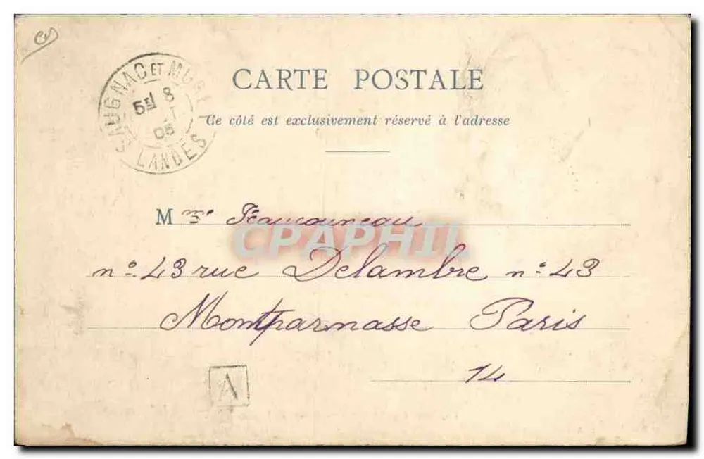 Eine Hochzeit in den Landes — Rückkehr aus der Kirche — F. Bernédo, Fotografie, Arjuzans-(Landes) - Rückseite