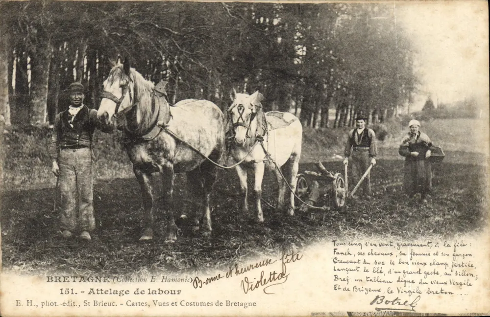 Bretagne — Attelage de labour — E. H., phot.-édit., St Brieuc - Frente