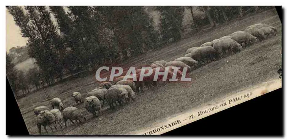 Burgund — Schafe auf der Weide — 27. Editions de la Bourgogne - Vorderseite