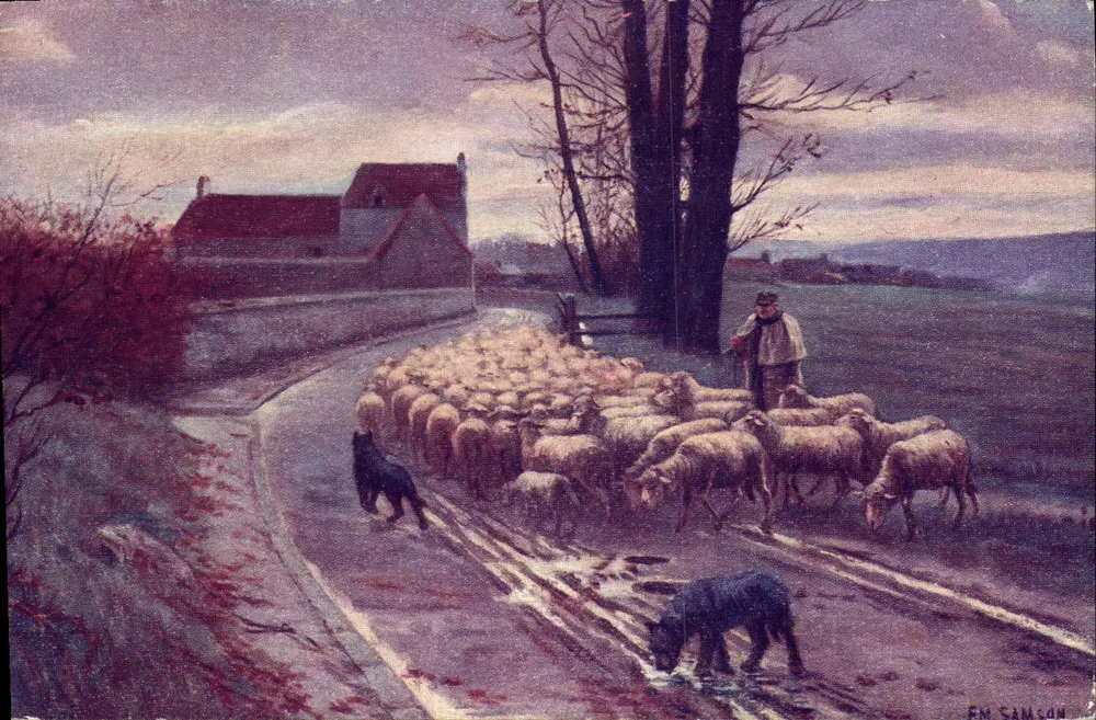 Rückkehr des Herds — Verlag Laxochromie, Nr. 250 - Vorderseite