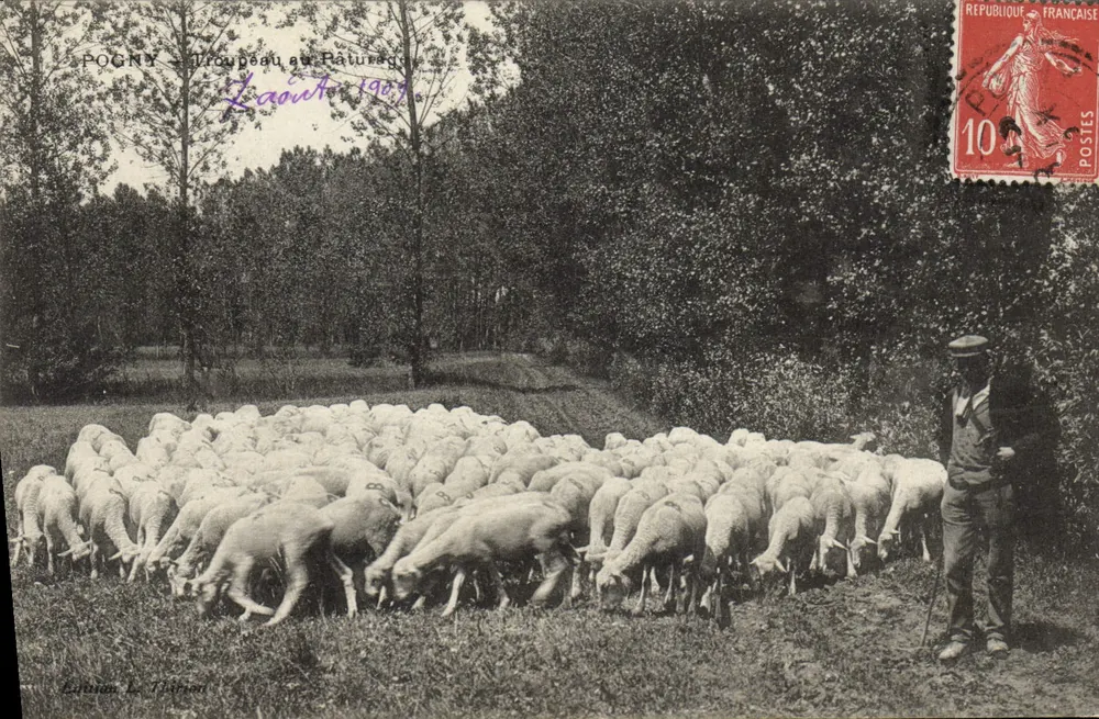 Pogny — Rebanho no Piquete — Edição Le Dibon - Frente