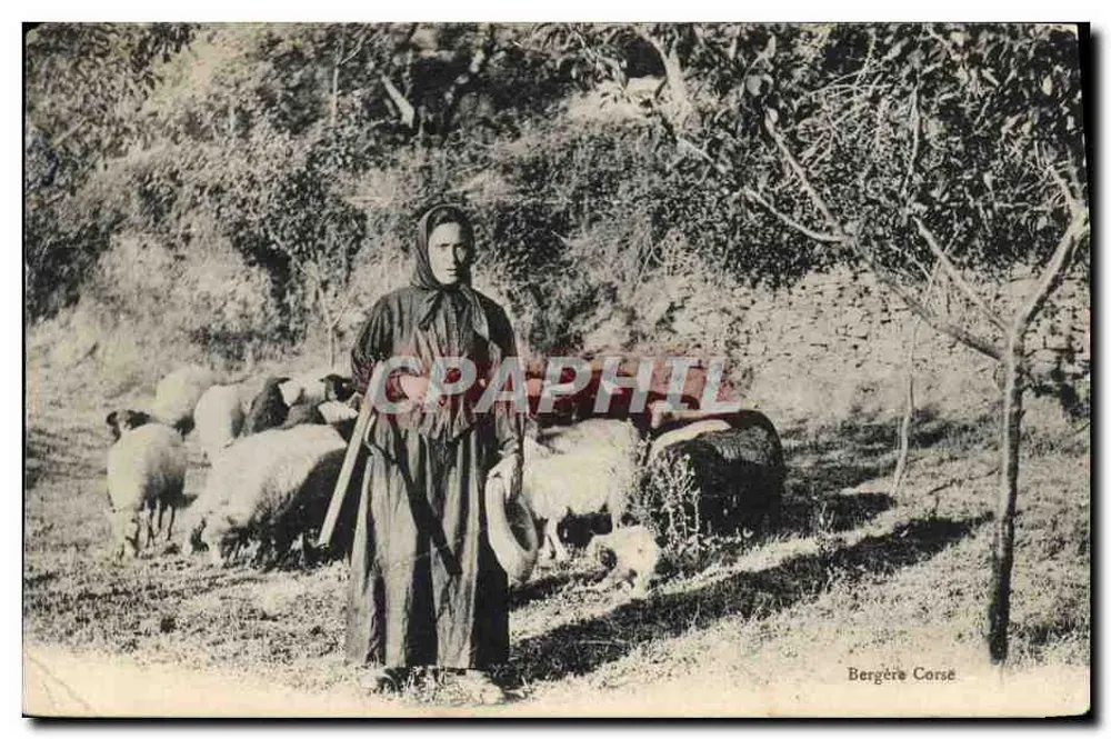 Bergère Corse — femme en tenue traditionnelle avec troupeau de moutons — éditeur inconnu - Frente