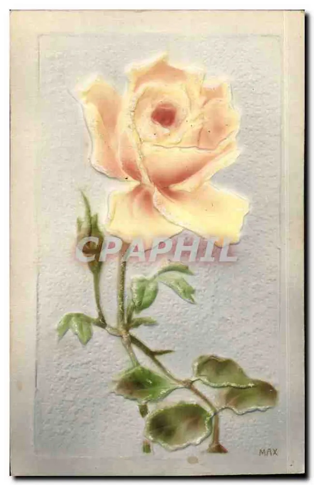 Rosas amarelas — ilustração — Max - Frente