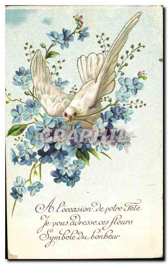 Zwaluw en blauwe bloemen — Symbool van geluk — uitgever niet zichtbaar - Voorkant