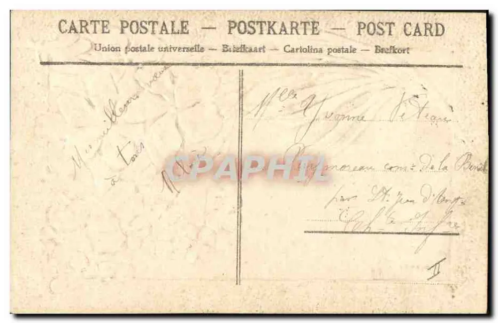 Flores rosa — cartão postal decorativo — editor não visível - Verso