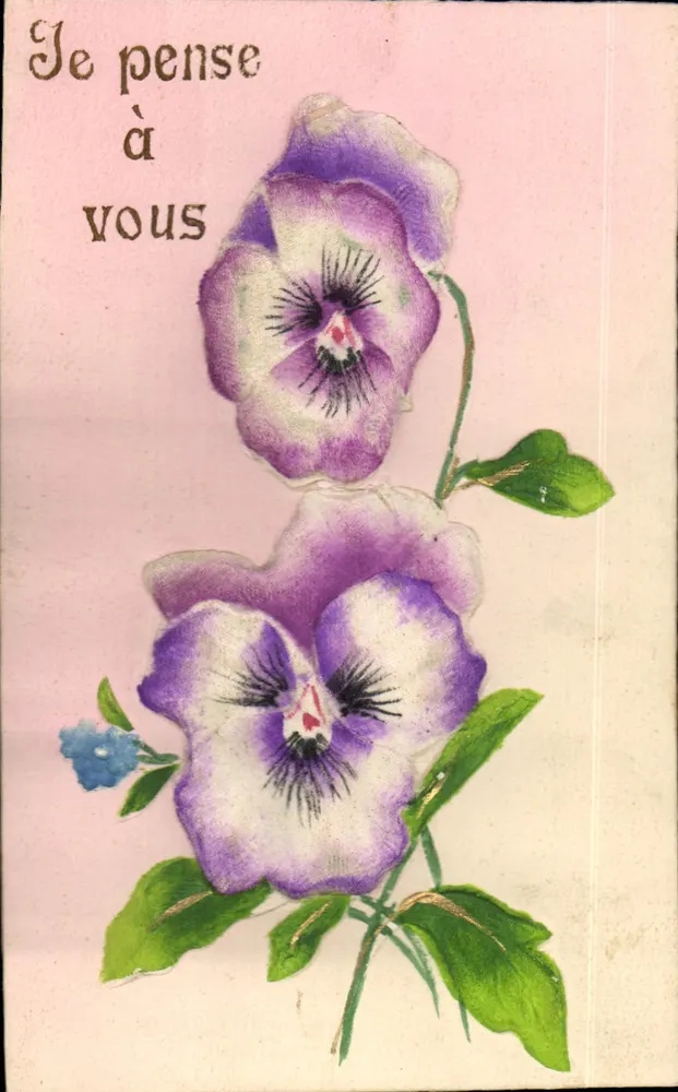 Pansies — Eu penso em você — Carte postale multilingue - Frente