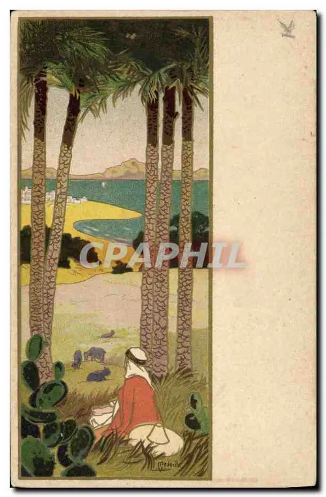 Vista de praia entre palmeiras — editor C. Bedouille, n° 11 - Frente