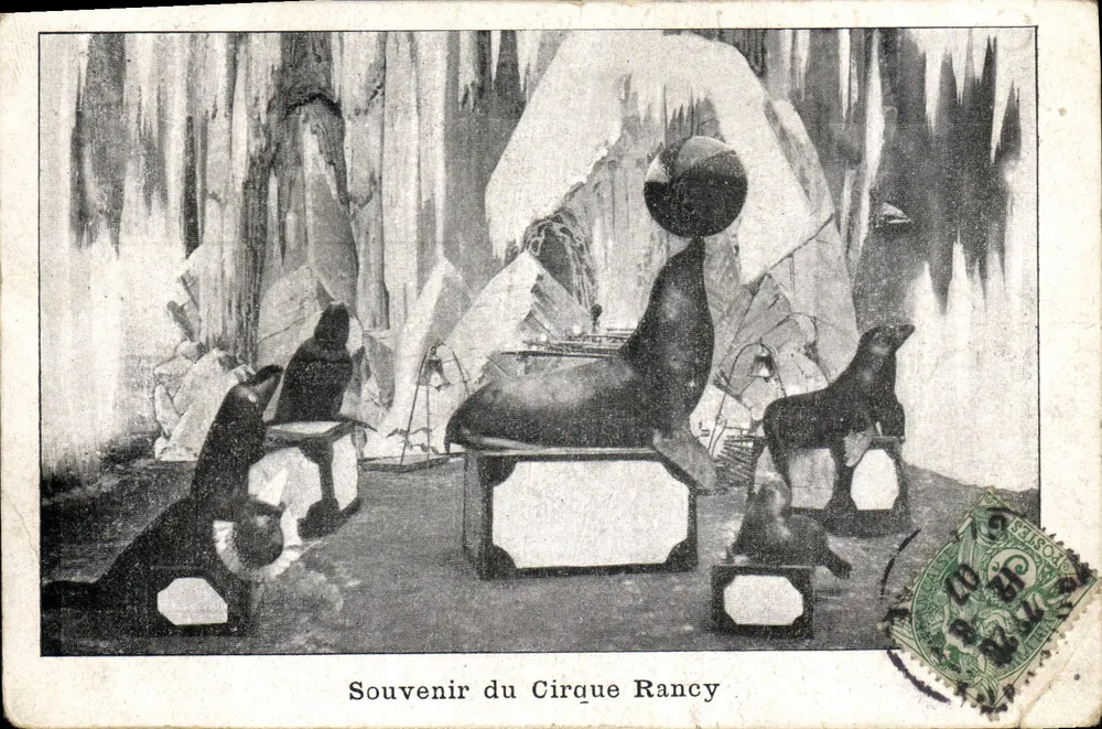 Lembrança do Cirque Rancy — cena de apresentação de focas — editor não visível - Frente
