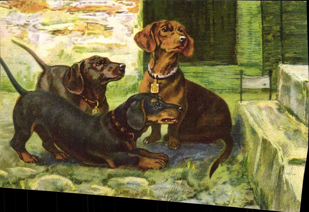 Três cães de caça — cena de jardim — editor Wenau-Delita, n° 1314 - Frente