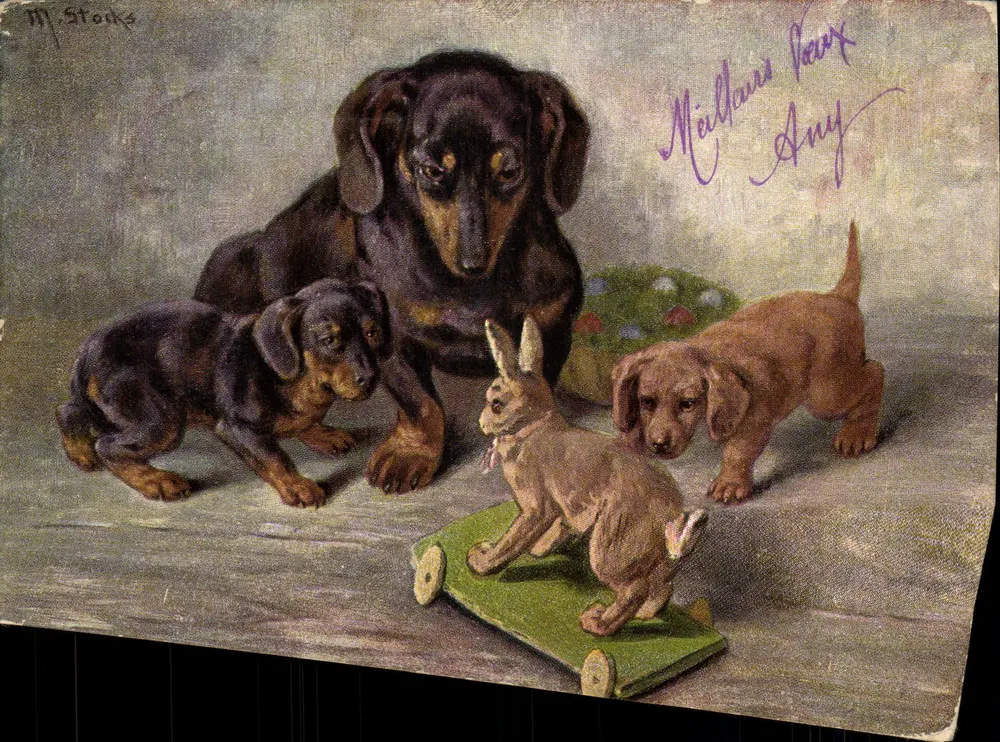 Hond en pups met speelkonijn — M. Stocks — Serie 12 Teken No. 9 - Voorkant