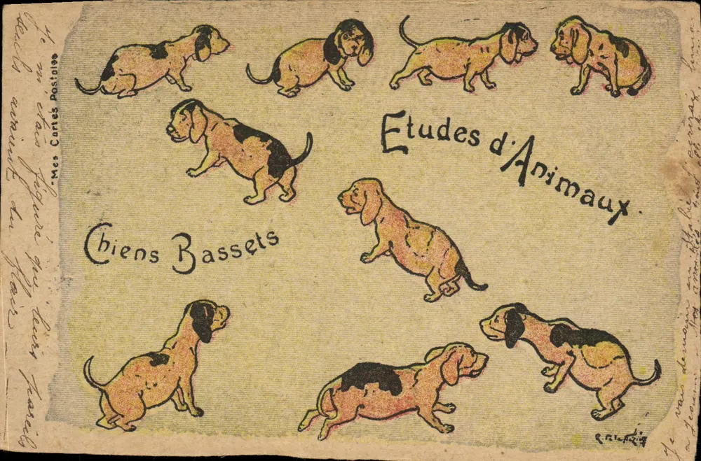 Basset Hunde — Tierstudien — Meine Karten - Vorderseite