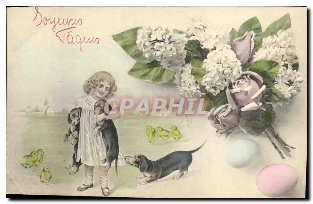 Fête de Pâques — Enfant avec chiens et poussins — A.S. V. Serie 481 - Vorderseite