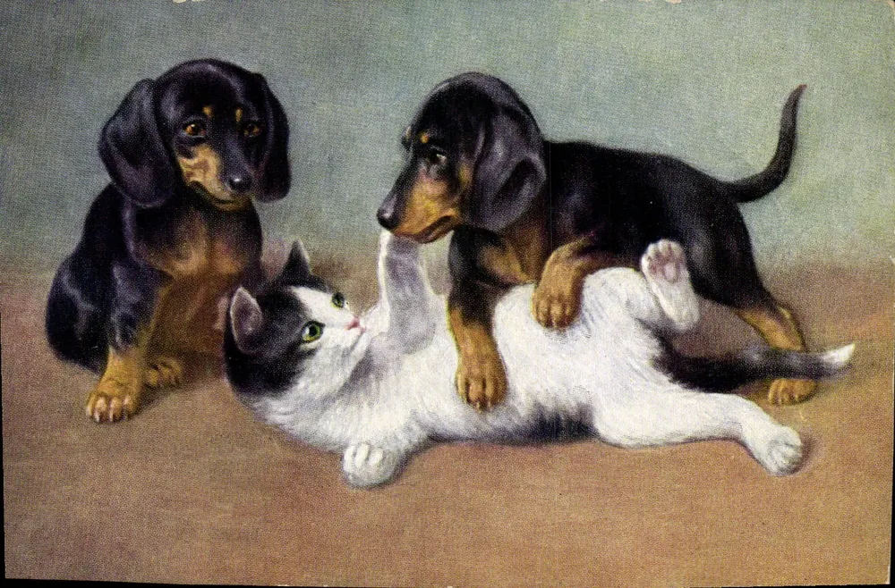 Dois filhotes da raça dachshund e um gato — ilustração — editor G. Z. n° 259/1463 - Frente