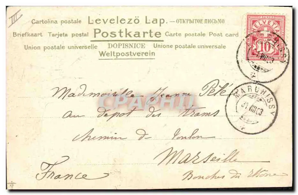 Cão de caça — desenho — editor desconhecido - Verso