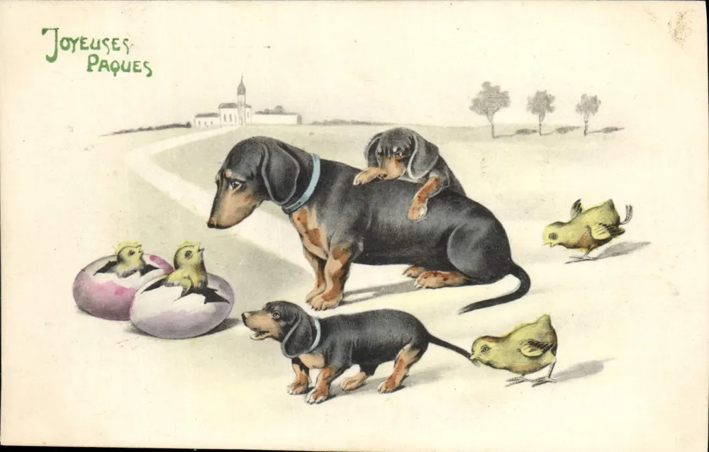 Hunde und Hühner — Frohe Ostern — Serie 800, Wien - Vorderseite