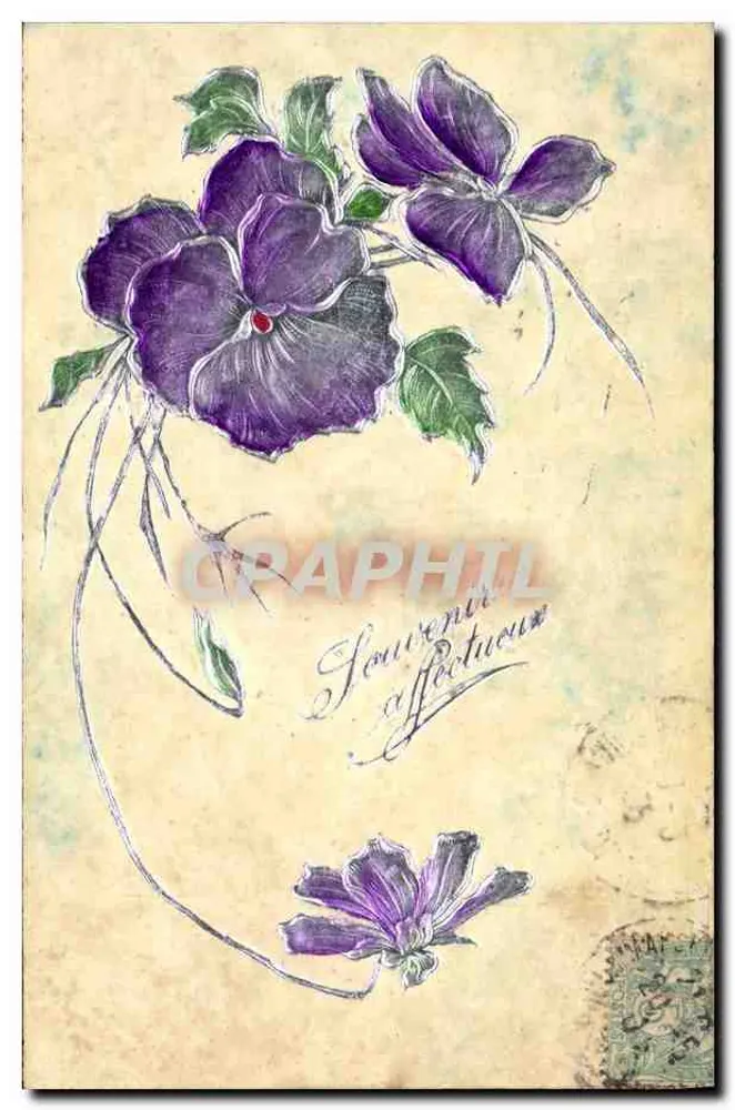 Flores violetas — carta postal — editor Madeleine, série 5635 - Frente