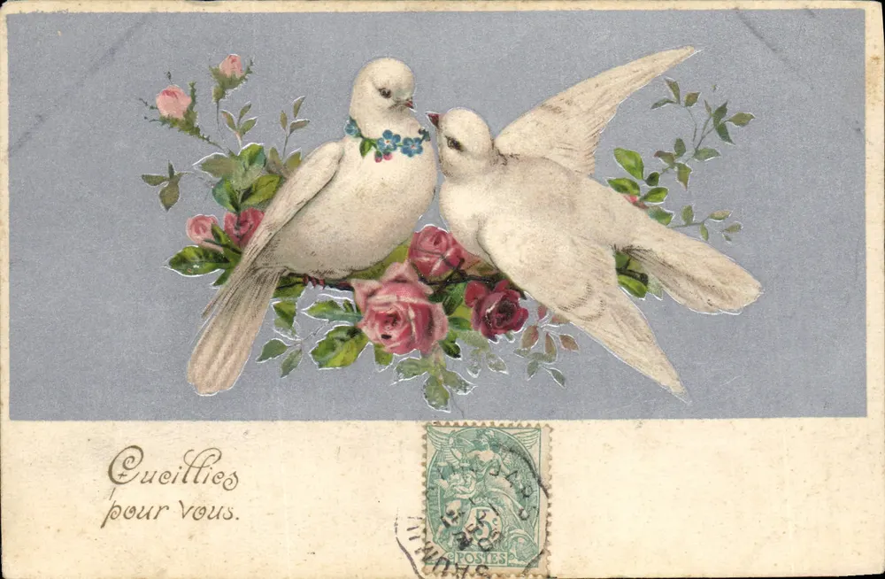 Due colombelle tra le rose — K. P. Éditeurs, Serie 836 - Recto